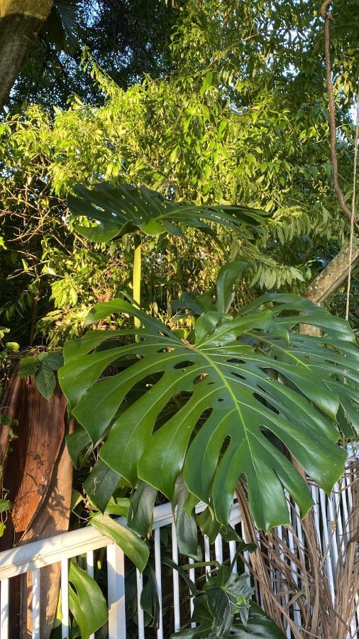 Pousada Vivera Jaraguá do Sul Dış mekan fotoğraf
